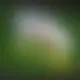 Zagraj Let It Ride z Playtech w {"id":35,"name":"HotSlots","design":{"logo":"hotslots-logo.wG4Reg.svg","favicon":"hotslots-favicon.FmCHFr.png","banner_poker":"hotslots-poker-2KBPFQ.webp","banner_mobile":"hotslots-mobile-7AAKfX.webp","block_bg_color":"#262626","image_bg_color":"#333","banner_bg_color":"#262626","block_text_color":"#ffffff","primary_bg_color":"#000000","banner_text_color":"#fff","footer_logos_type":"white","block_round_radius":"0.5rem","primary_text_color":"#ffffff","button_round_radius":"0.25rem","banner_welcome_bonus":"hotslots-welcome-bonus-UdGofE.webp","primary_button_bg_color":"#FF3A4B","primary_button_text_color":"#fff","secondary_button_bg_color":"#575757","secondary_button_text_color":"#fff"},"created_at":"2025-05-14T09:25:22.000000Z","updated_at":"2025-05-14T09:25:22.000000Z","deleted_at":null}